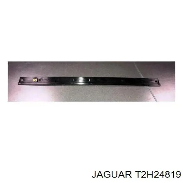 T2H24819 Jaguar