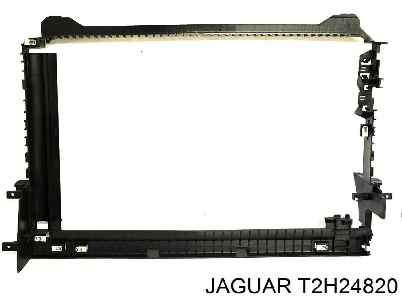 T2H39793 Jaguar