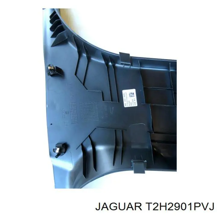T2H2901PVJ Jaguar