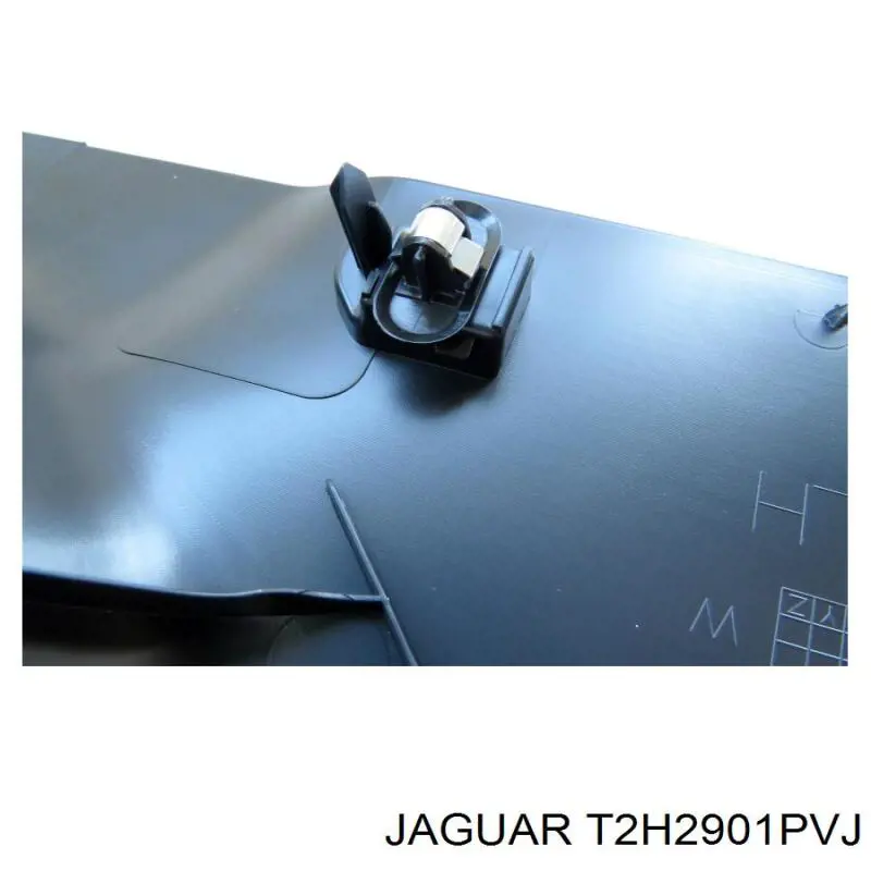  T2H2901PVJ Jaguar