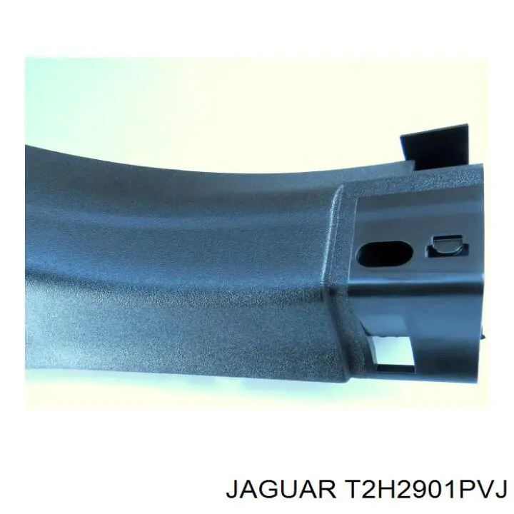 T2H2901PVJ Jaguar 