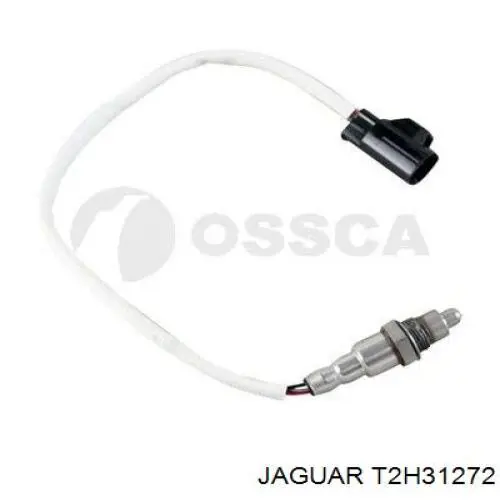 T2H48054 Jaguar 