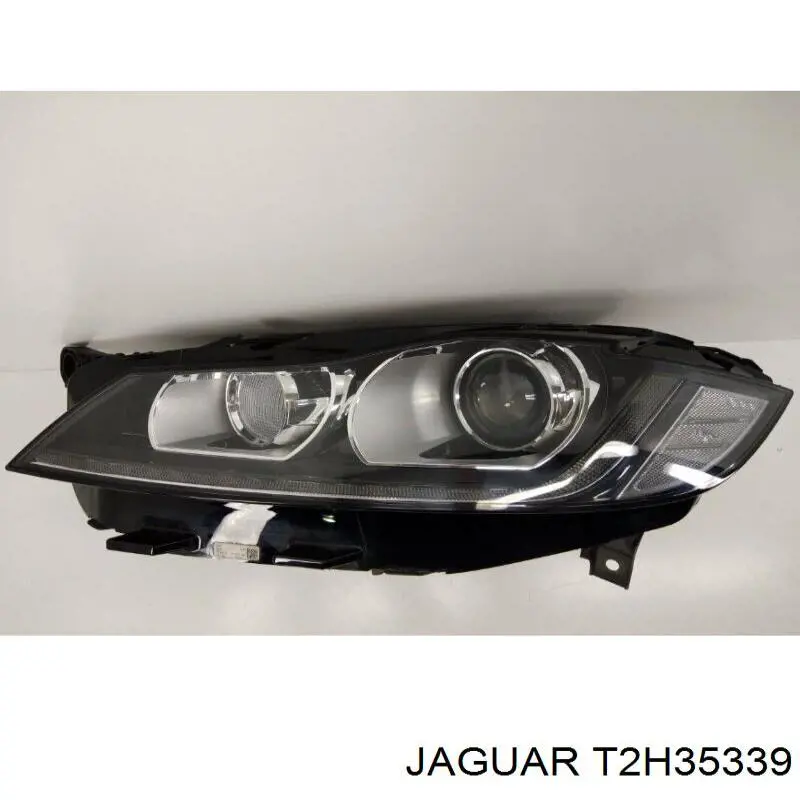  T2H35339 Jaguar