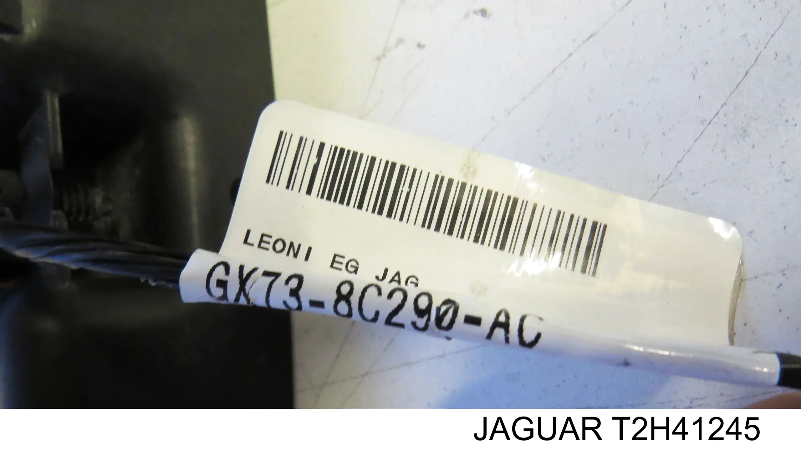  T2H41245 Jaguar