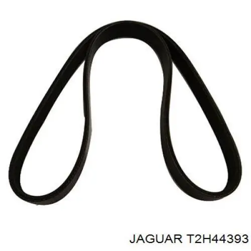 Jaguar T2H57525 цена, от 22.86 USD