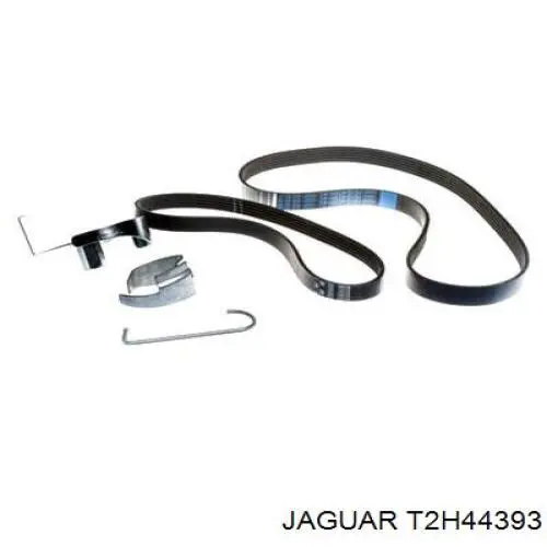  T2H57525 Jaguar