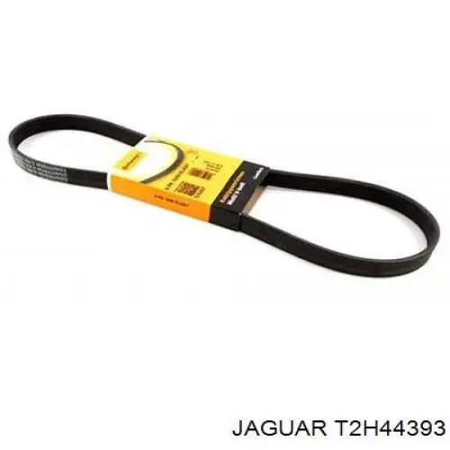 T2H57525 Jaguar 