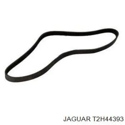 Купить T2H57525 Jaguar 