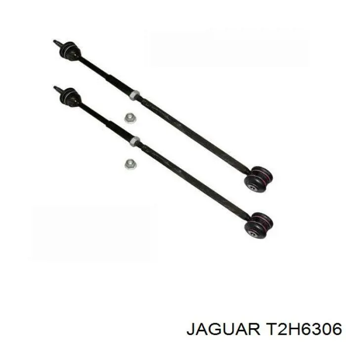  T2H6306 Jaguar