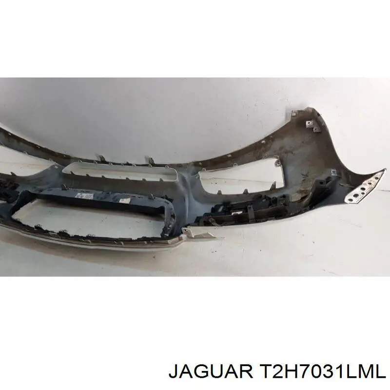 Купить T2H7031LML Jaguar 