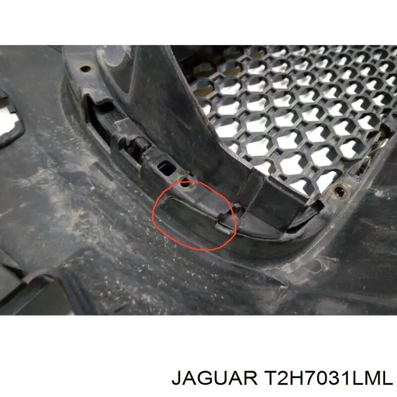  T2H7031LML Jaguar