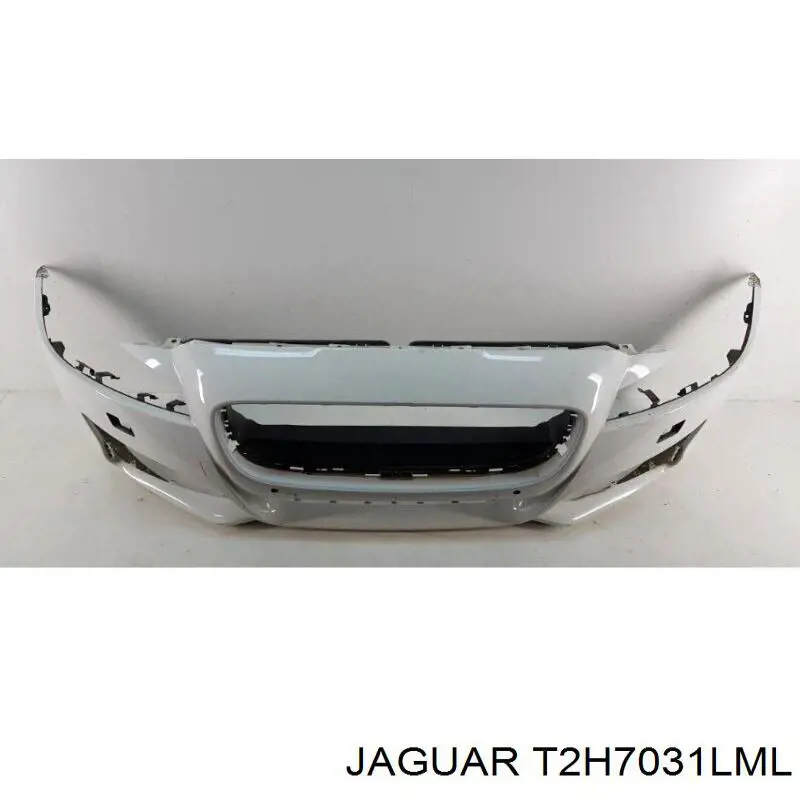 T2H7031LML Jaguar 