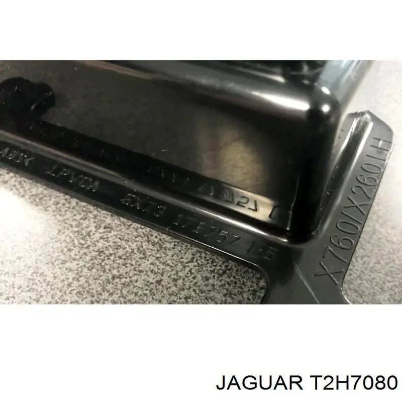 T4A16369 Jaguar 