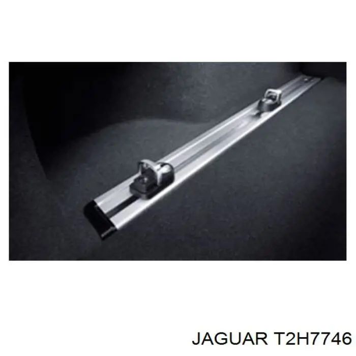 T2H7746 Jaguar 