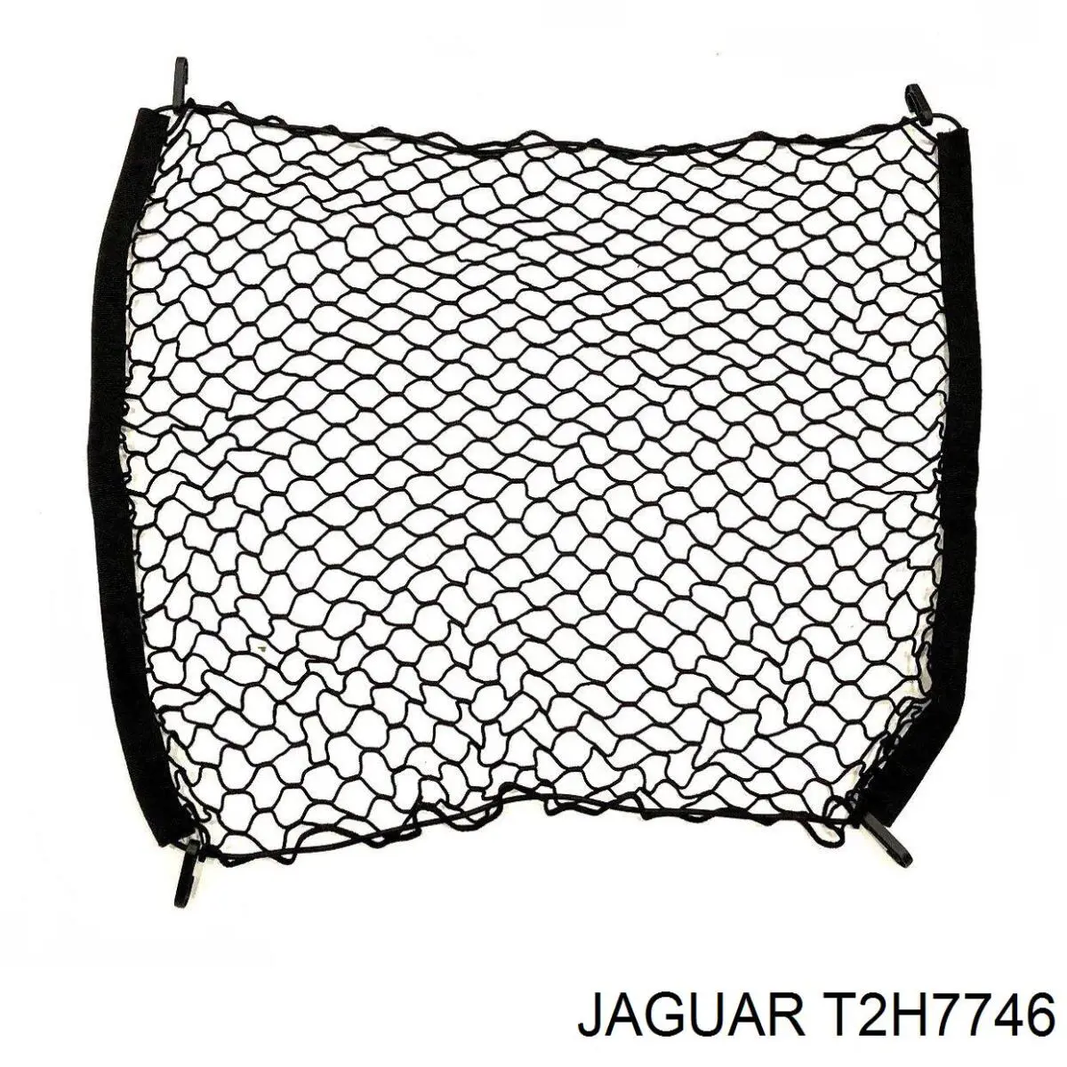  T2H7746 Jaguar