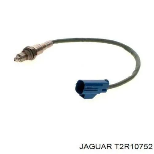  T2R10752 Jaguar