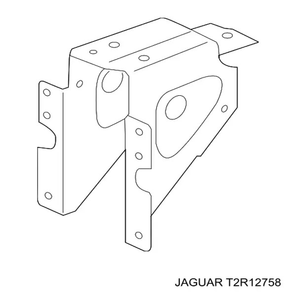  T2R12758 Jaguar