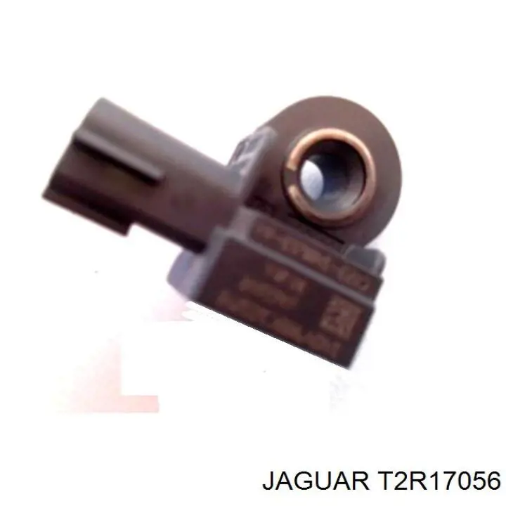 T2R17056 Jaguar 