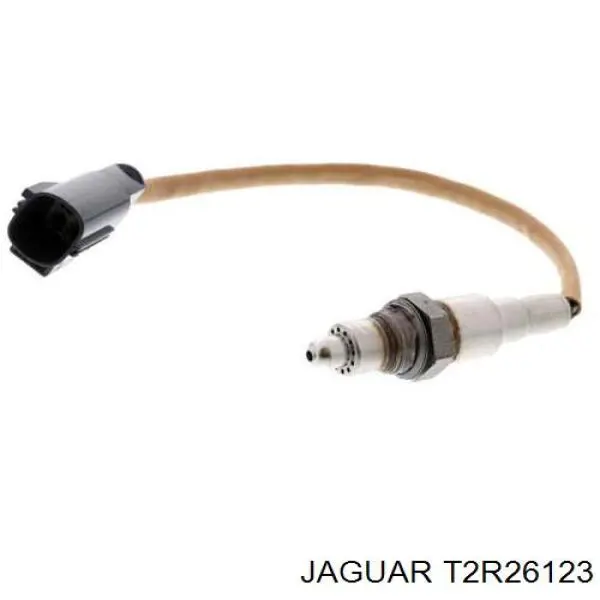  T2R54610 Jaguar