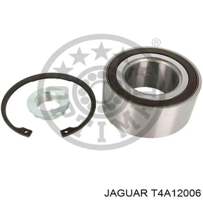  T4A12006 Jaguar