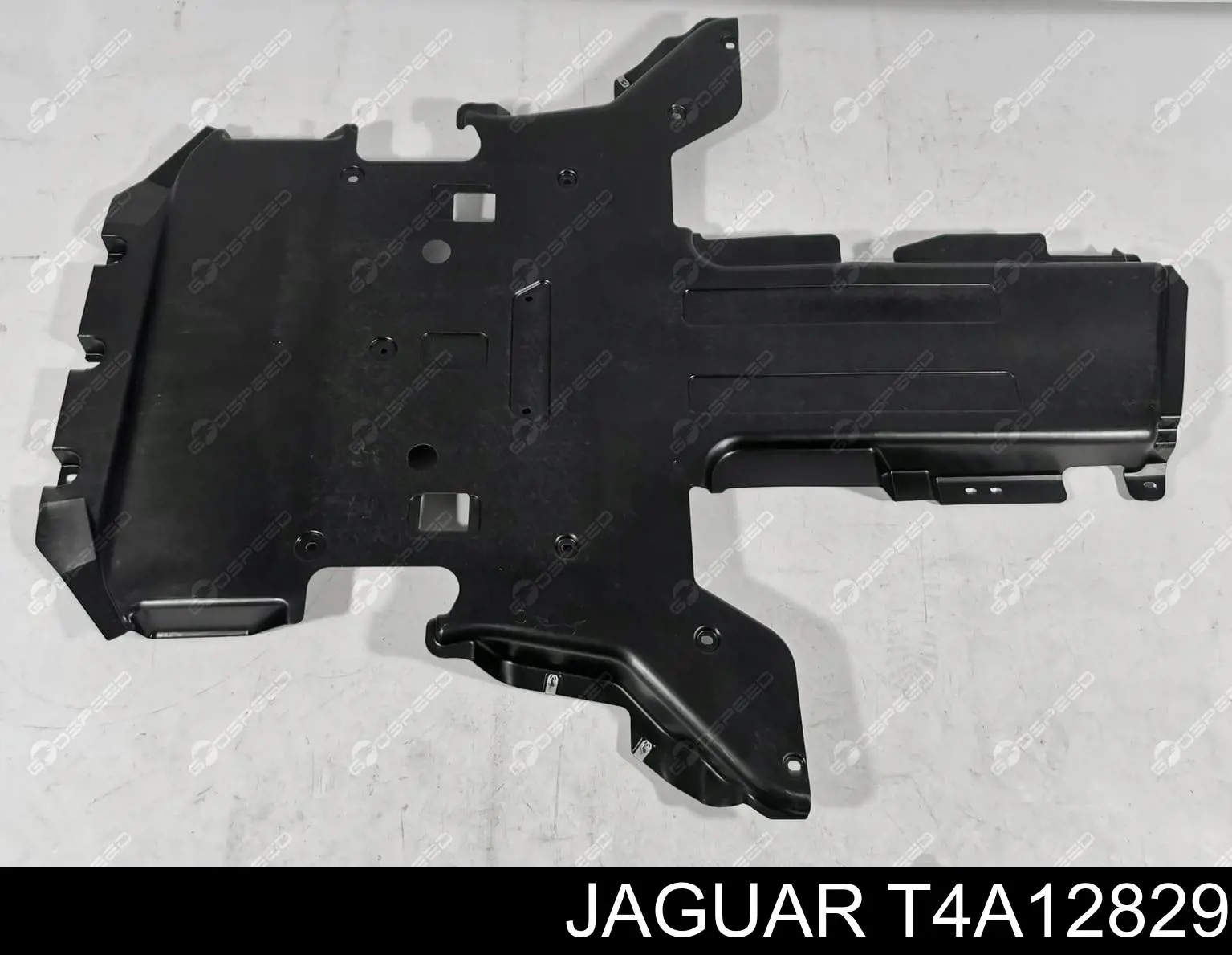 T4A12829 Jaguar 