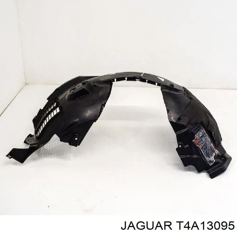  T4A1134 Jaguar