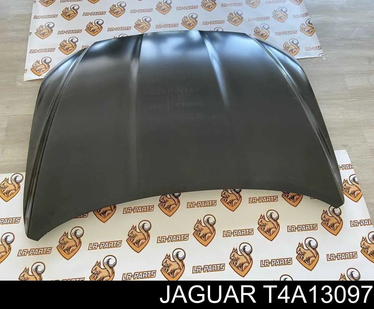 T4A1367 Jaguar 