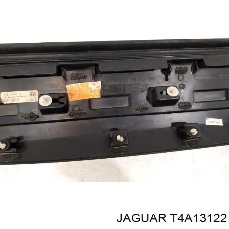  T4A13122 Jaguar