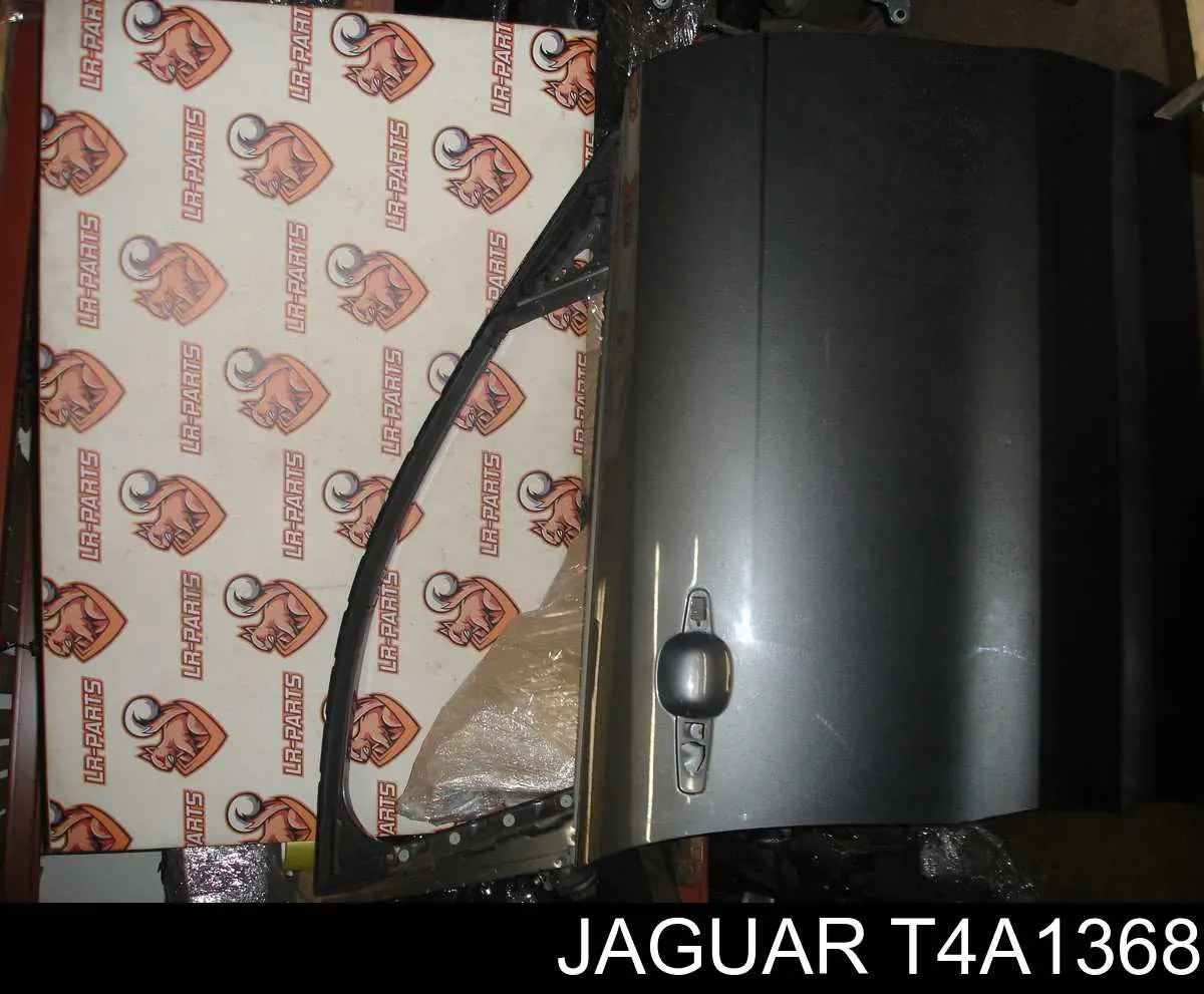  T4A1368 Jaguar