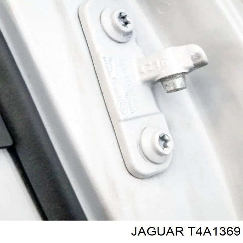 T4A1369 Jaguar 