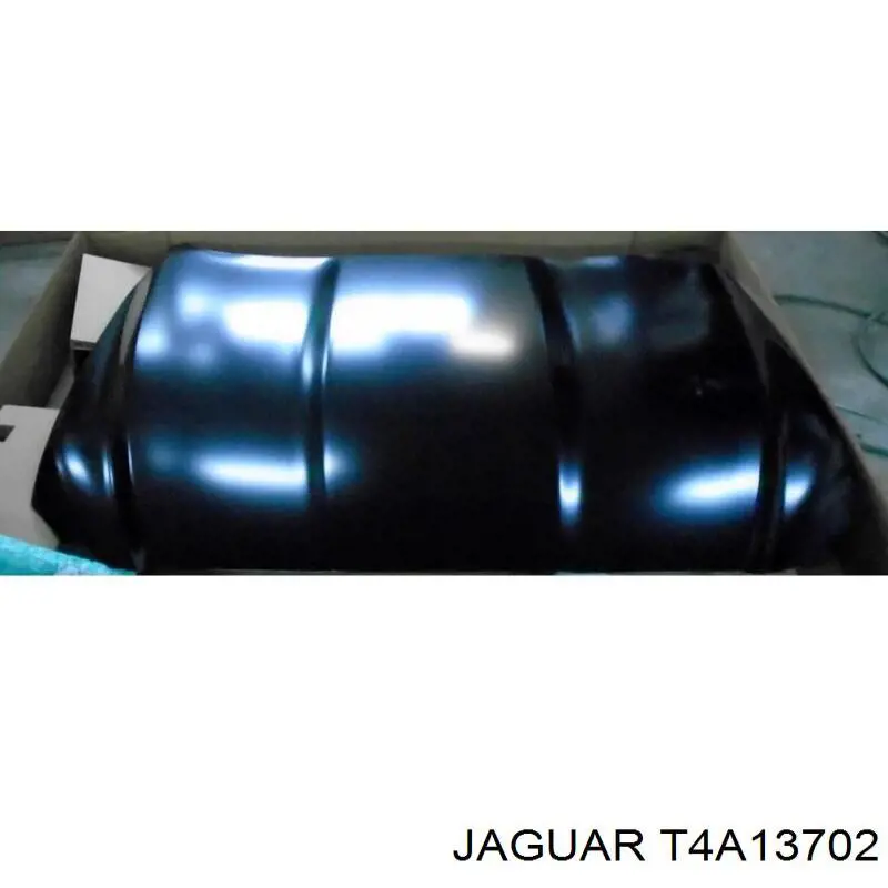 T4A13702 Jaguar 