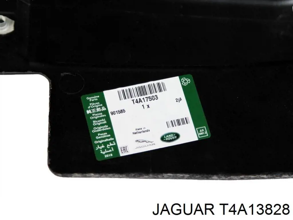 T4A13623 Jaguar 