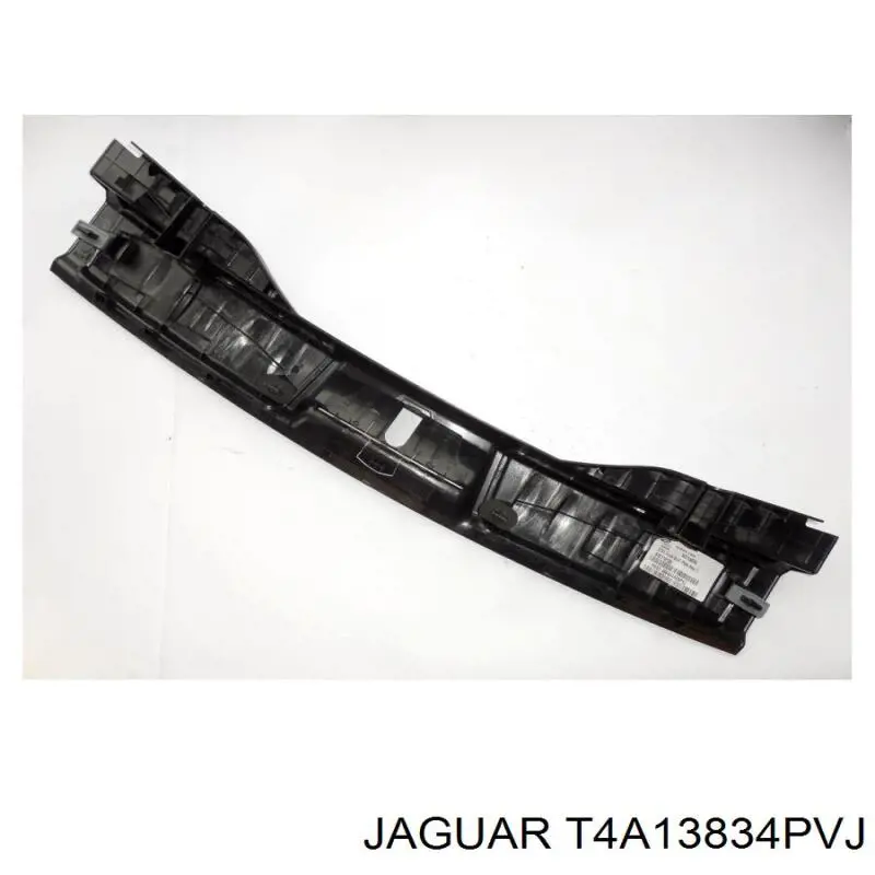 T4A13834PVJ Jaguar 