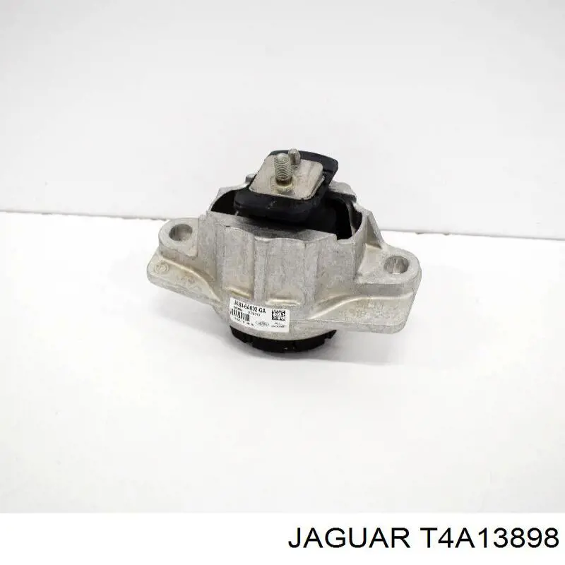  T4A13898 Jaguar