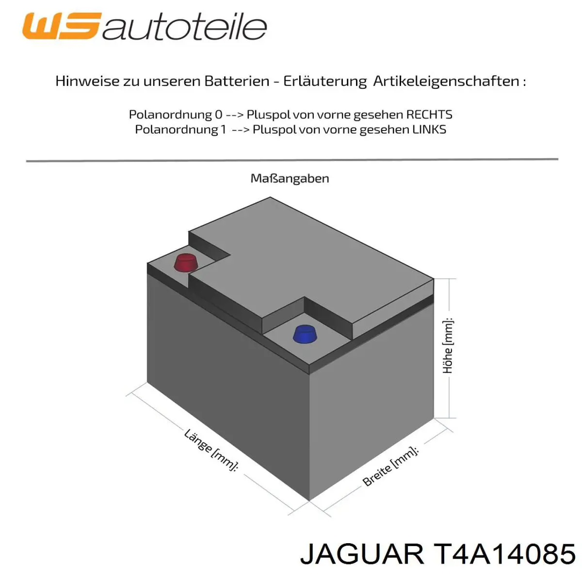 T4A14085 Jaguar
