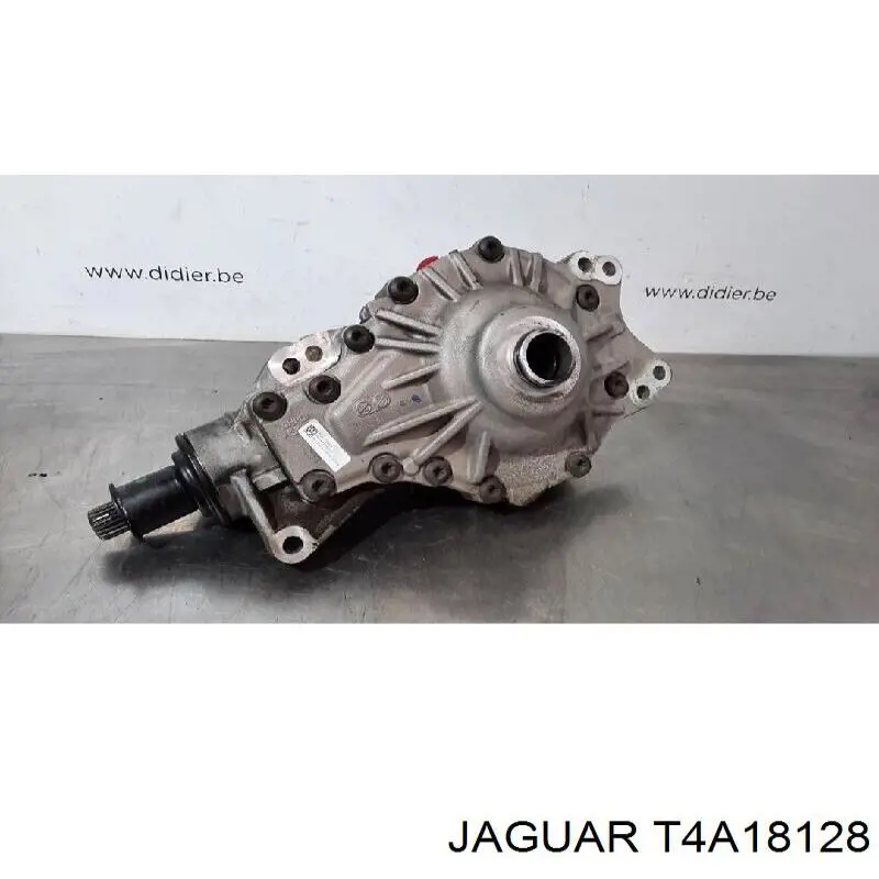  T4A1860 Jaguar