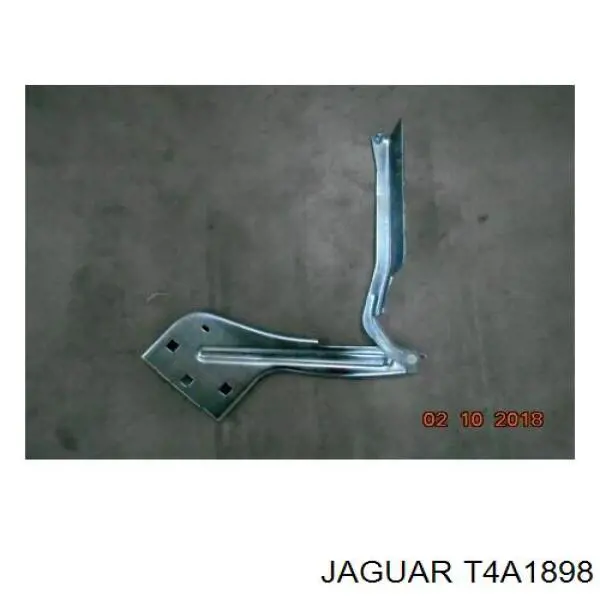 T4A1898 Jaguar 
