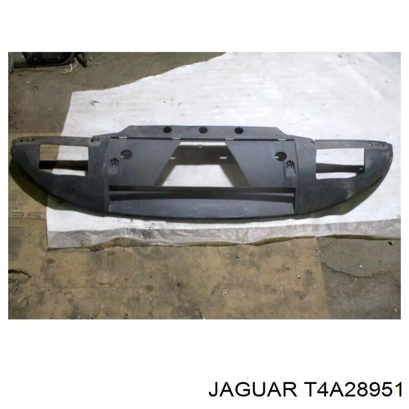 T4A28951 Jaguar 