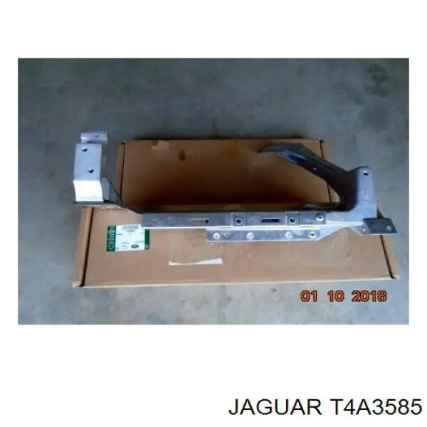  T4A3585 Jaguar