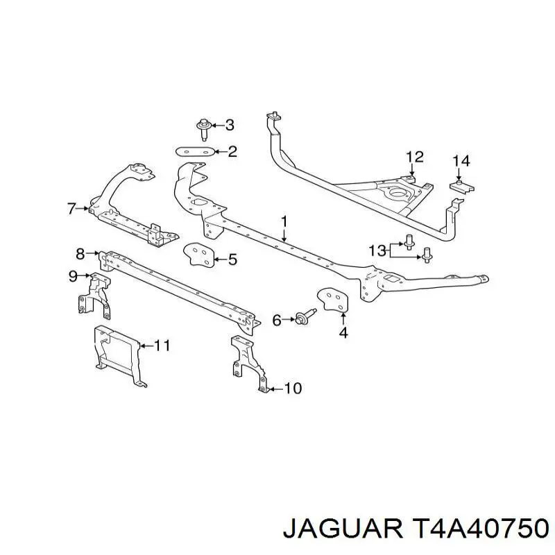 T4A40750 Jaguar 