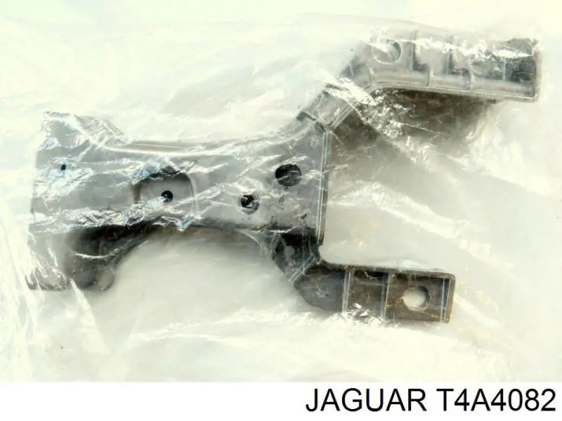T4A4082 Jaguar 