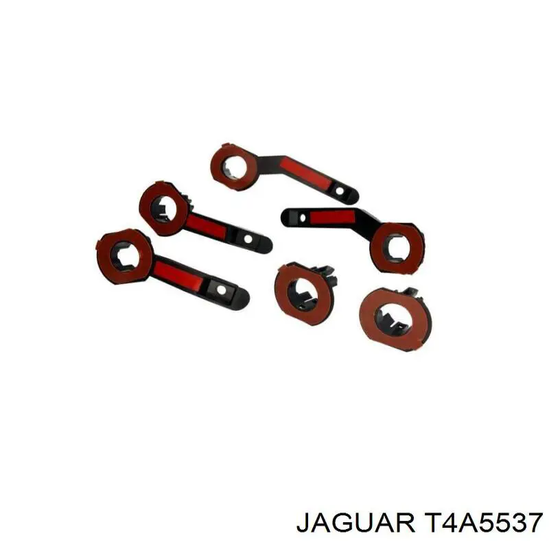  T4A5537 Jaguar