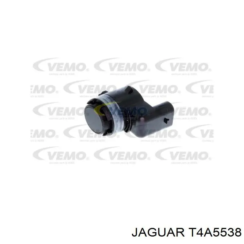 T4A5538 Jaguar 