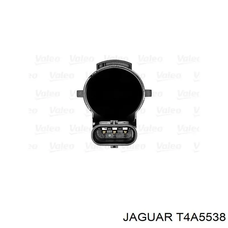  T4A5538 Jaguar