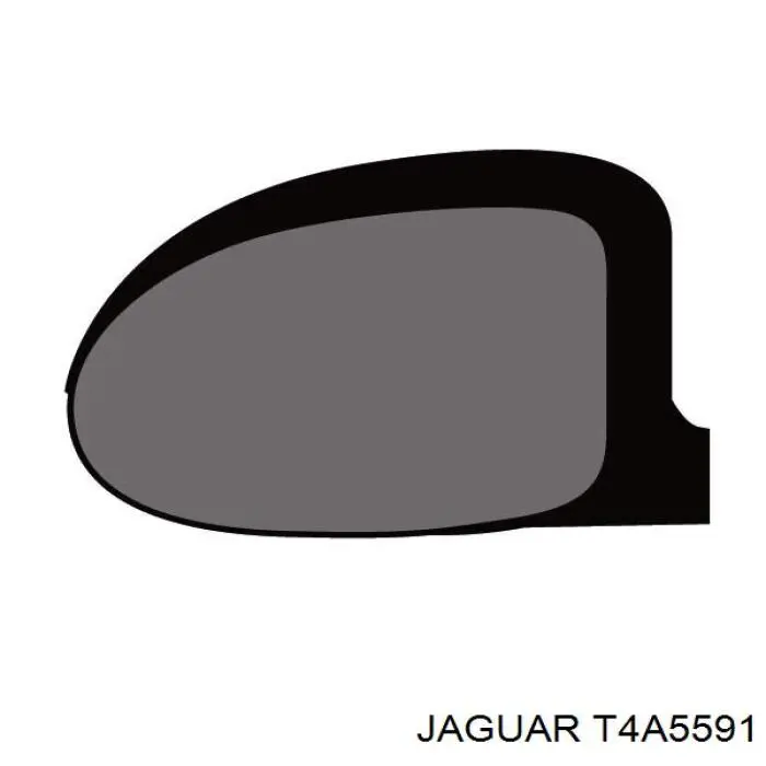 T4A5591 Jaguar 