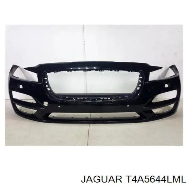  T4A5644LML Jaguar