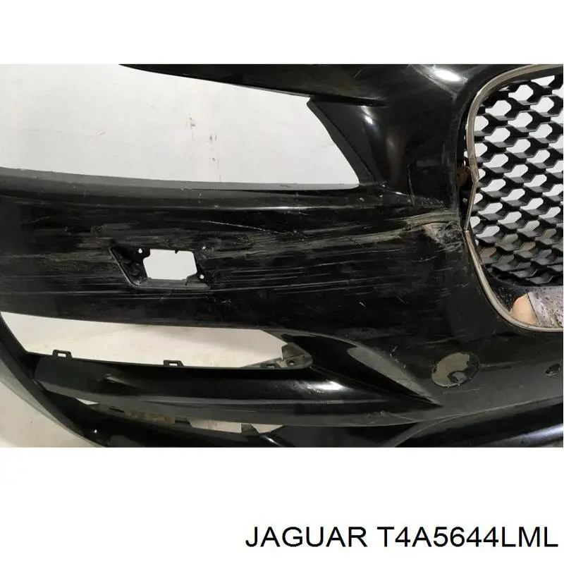  Jaguar T4A5644LML цена, от 695.07 USD