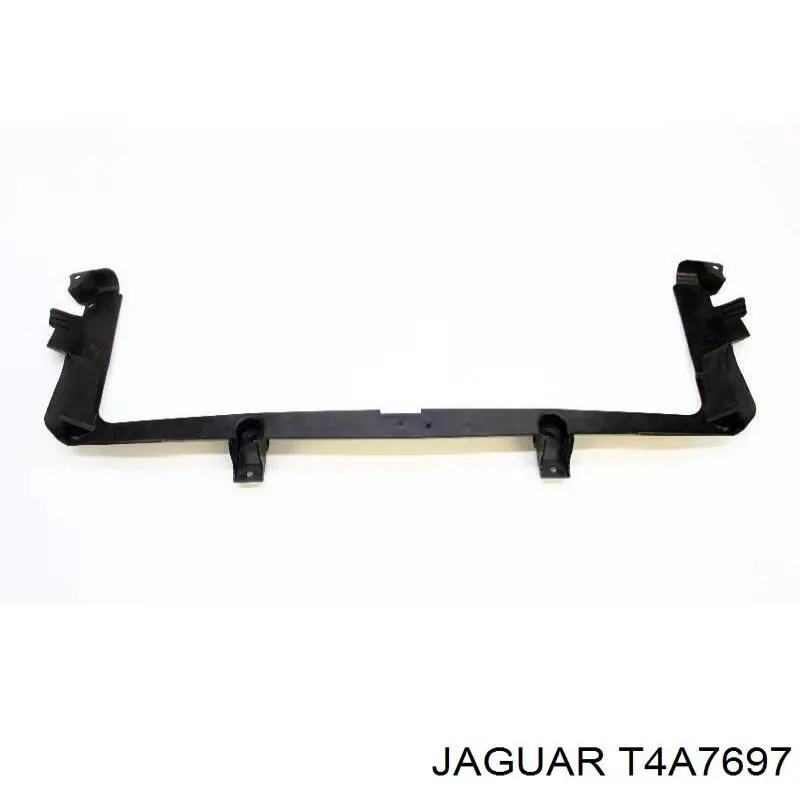 T4A7697 Jaguar 