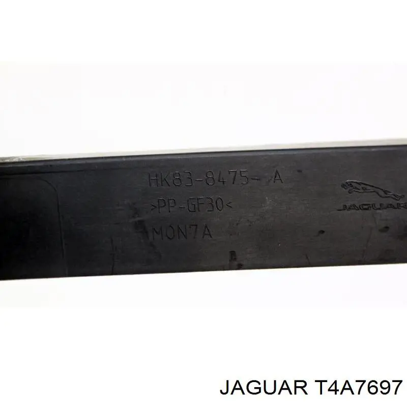 T4A7697 Jaguar 
