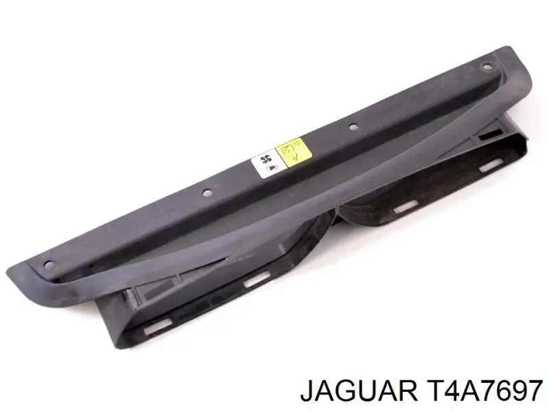 Купить T4A7697 Jaguar 